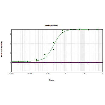 Anti-HUMAN TRANSFERRIN (RABBIT) Antibody Peroxidase Conjugated, 500µg, Lyophilized