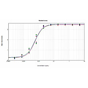 Anti-MOUSE IgG + IgM (H&L) (GOAT) Antibody Peroxidase Conjugated Minimum Cross Reactivity to Bovine, Horse and Human Serum Proteins, 1mg, Lyophilized