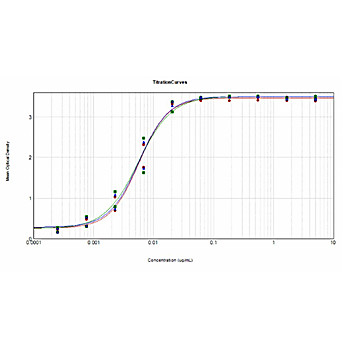Anti-MOUSE IgG + IgM (H&L) (GOAT) Antibody Peroxidase Conjugated Minimum Cross Reactivity to Bovine, Horse and Human Serum Proteins, 1mg, Lyophilized