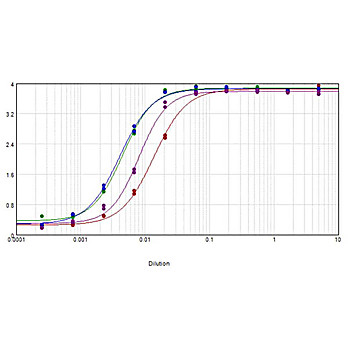 Anti-HUMAN IgG (H&L) (SHEEP) Antibody Biotin Conjugated, 2mg, Lyophilized