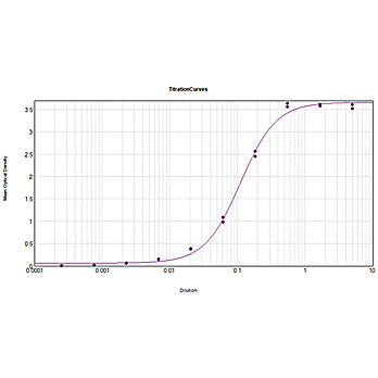 Anti-MOUSE IgG (gamma chain) (RABBIT) Antibody Alkaline Phosphatase Conjugated, 1mg, Liquid (sterile filtered)