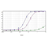 Anti-MOUSE IgG F(ab')2 (RABBIT) Antibody Biotin Conjugated, 2mg, Lyophilized