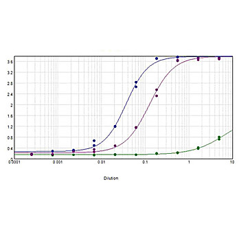 Anti-MOUSE IgG F(ab')2 (RABBIT) Antibody Biotin Conjugated, 2mg, Lyophilized