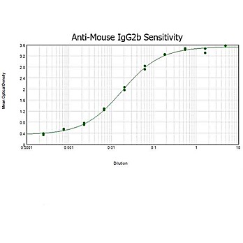 Anti-MOUSE IgG2b (Gamma 2b chain) (RABBIT) Antibody, 1mg, Liquid (sterile filtered)