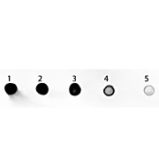 Anti-RAT IgG (H&L) (GOAT) Antibody Alkaline Phosphatase Conjugated (Min X Bv Ch Gt GP Ham Hs Hu Ms Rb & Sh Serum Proteins), 1mg, Liquid (sterile filtered)
