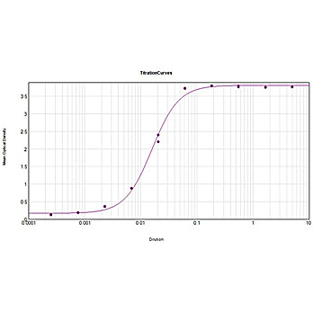 Anti-RAT IgM (RABBIT) Antibody Peroxidase Conjugated, 1.5mg, Lyophilized