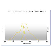 Anti-MOUSE IgG (H&L) (SHEEP) Antibody DyLight™ 549 Conjugated, 100µg, Lyophilized