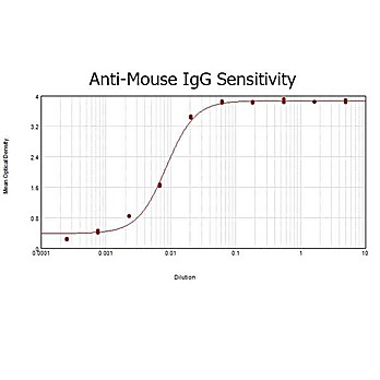 Anti-MOUSE IgG (H&L) (GOAT) Antibody Peroxidase Conjugated (Min X Human Serum Proteins), 500µg, Lyophilized