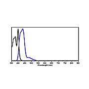 Anti-RAT IgG (H&L) (RABBIT) Antibody DyLight™ 405 Conjugated (Min X Human Serum Proteins), 100µg, Lyophilized