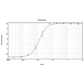 Anti-MOUSE IgG2a (Gamma 2a chain) (RABBIT) Antibody Biotin Conjugated, 1mg, Lyophilized