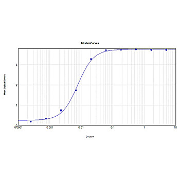 Anti-MOUSE IgG (H&L) (DONKEY) Antibody, 2mg, Liquid (sterile filtered)
