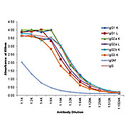 Anti-MOUSE IgG (gamma 1, 2a, 2b and 3 chain) (RABBIT) Antibody Peroxidase Conjugated, 1mg, Lyophilized