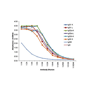 Anti-MOUSE IgG (gamma 1, 2a, 2b and 3 chain) (RABBIT) Antibody Peroxidase Conjugated, 1mg, Lyophilized