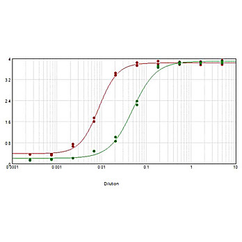 Anti-SHEEP IgG (H&L) (RABBIT) Antibody Biotin Conjugated (Min X Human Serum Proteins), 500µg, Lyophilized