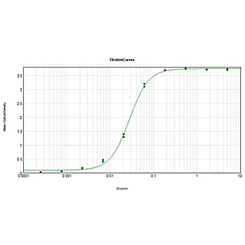 Anti-SHEEP IgG F(c) (RABBIT) Antibody Peroxidase Conjugated, 1.5mg, Lyophilized