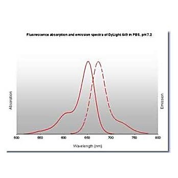 Anti-MOUSE IgG (H&L) (RABBIT) Antibody DyLight™ 649 Conjugated, 100µg, Lyophilized