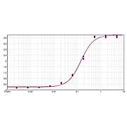 Anti-SHEEP IgG (H&L) (DONKEY) Antibody Alkaline Phosphatase Conjugated (Min X Ch GP Ham Hs Hu Ms Rb & Rt Serum Proteins), 1mg, Liquid (sterile filtered)