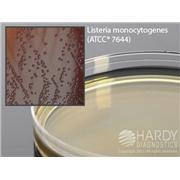 Oxford Medium, Modified, for Listeria