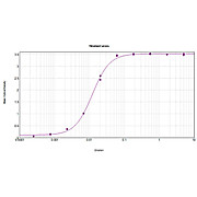 Anti-MOUSE IgG2b (Gamma 2b chain) (RABBIT) Antibody Peroxidase Conjugated, 1mg, Lyophilized