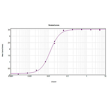 Anti-MOUSE IgG2b (Gamma 2b chain) (RABBIT) Antibody Peroxidase Conjugated, 1mg, Lyophilized