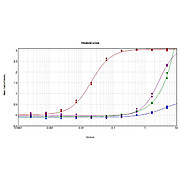 Anti-SHEEP IgG (H&L) (DONKEY) Antibody (Min X Ch GP Ham Hs Hu Ms Rb & Rt Serum Proteins), 1mg, Liquid (sterile filtered)
