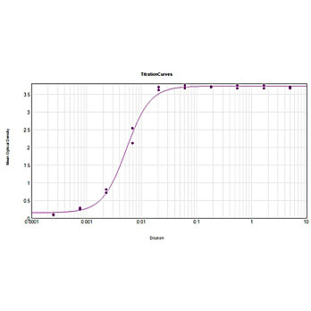 Anti-DONKEY IgG (H&L) (GOAT) Antibody Peroxidase Conjugated, 2mg, Lyophilized