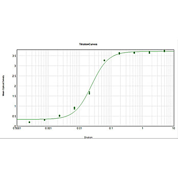 Anti-MOUSE IgG3 (Gamma 3 chain) (RABBIT) Antibody Peroxidase Conjugated, 1mg, Lyophilized