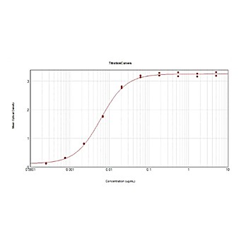 Anti-MOUSE IgM (mu chain) (RABBIT) Antibody, 2mg, Liquid (sterile filtered)