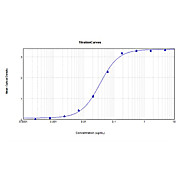 Anti-MOUSE IgG F(ab')2 (RABBIT) Antibody, 2mg, Liquid (sterile filtered)