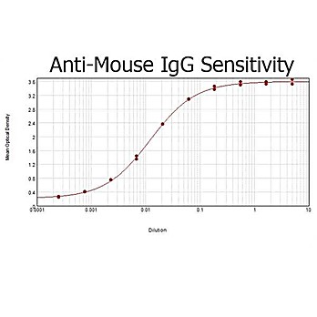 Anti-MOUSE IgG (H&L) (RABBIT) Antibody, 2mg, Liquid (sterile filtered)