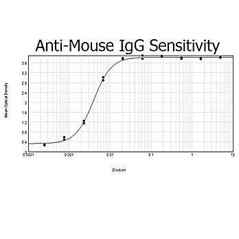 Anti-MOUSE IgG (H&L) (GOAT) Antibody Biotin Conjugated, 2mg, Lyophilized