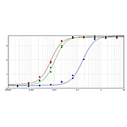 Anti-MOUSE IgG (H&L) (RABBIT) Antibody Peroxidase Conjugated (Min X Human Serum Proteins), 2mg, Lyophilized