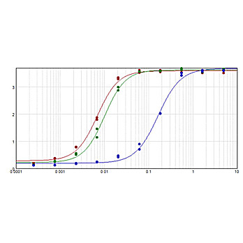 Anti-MOUSE IgG (H&L) (RABBIT) Antibody Peroxidase Conjugated (Min X Human Serum Proteins), 2mg, Lyophilized