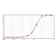 Anti-MOUSE IgG F(c) (GOAT) Antibody Alkaline Phosphatase Conjugated, 1mg, Liquid (sterile filtered)