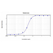 Anti-MOUSE IgG2a (Gamma 2a chain) (RABBIT) Antibody Peroxidase Conjugated, 1mg, Lyophilized
