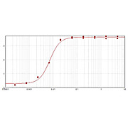 F(ab')2 Anti-RABBIT IgG (H&L) (GOAT) Antibody Peroxidase Conjugated Min X Bv Ch Gt GP Ham Hs Hu Ms Rt & Sh Serum Proteins, 500µg, Lyophilized