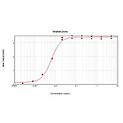 F(ab')2 Anti-RABBIT IgG [H&L] (GOAT) Antibody Peroxidase Conjugated, 500µg, Lyophilized