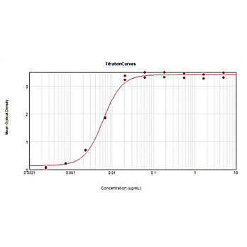 F(ab')2 Anti-RABBIT IgG [H&L] (GOAT) Antibody Peroxidase Conjugated, 500µg, Lyophilized