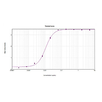 F(ab')2 Anti-GUINEA PIG IgG (H&L) (GOAT) Antibody Peroxidase Conjugated, 500µg, Lyophilized