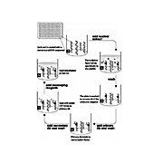 NFkB (P50) ELISA Kit, 1Kit