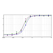 F(ab')2 Anti-RABBIT IgG (H&L) (GOAT) Antibody Biotin Conjugated Min X Bv Ch Gt GP Ham Hs Hu Ms Rt & Sh Serum Proteins, 500µg, Lyophilized