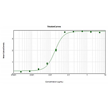 F(ab')2 Anti-HUMAN IgG F(ab')2 (GOAT) Antibody Alkaline Phosphatase Conjugated Min X Bv Hs Ms & Rt Serum Proteins, 500µg, Liquid (sterile filtered)
