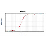F(ab')2 Anti-MOUSE IgG (H&L) (RABBIT) Antibody Peroxidase Conjugated Min X Human Serum Proteins, 500µg, Lyophilized