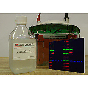 Blocking Buffer for Fluorescent Western Blotting 3-PACK (3 x 500 ml), 1Each, Liquid (sterile filtered)