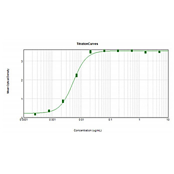 F(ab')2 Anti-MOUSE IgG F(ab')2 (GOAT) Antibody Peroxidase Conjugated Min X Bv Hs Hu Rb Rt & Sh Serum Proteins, 500µg, Lyophilized