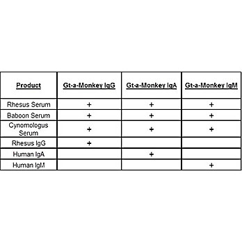 Anti-MONKEY IgG IgA IgM (H&L) (GOAT) Antibody Texas Red™ Conjugated, 1mg, Lyophilized