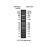 Diamond Ready-to-Use DNA Ladder 100-10Kbp, 500µL, Liquid (in 1x Loading Buffer)
