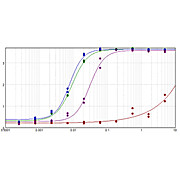 F(ab')2 Anti-DOG IgG [H&L] (RABBIT) Antibody Biotin Conjugated, 500µg, Lyophilized