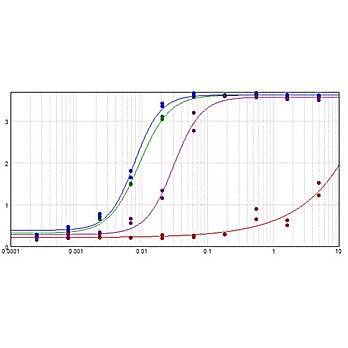 F(ab')2 Anti-DOG IgG [H&L] (RABBIT) Antibody Biotin Conjugated, 500µg, Lyophilized