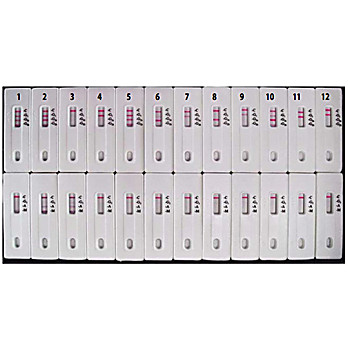 Isotyping Kit: Rapid Mouse Monoclonal Isotyping Kit IsoMax™- 10 pack, 1Each